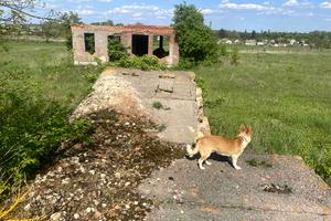 ділянка за адресою 