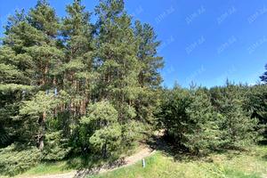 ділянка за адресою центральна, 1