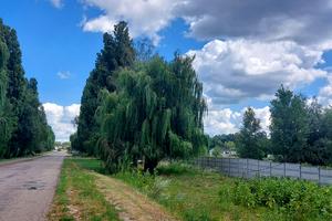 участок по адресу Виставкова, 1