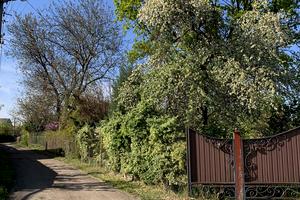будинок за адресою Сержанта Волкова вул., 125