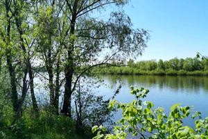 будинок за адресою Липова вул.