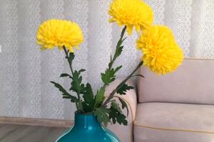 квартира за адресою Французький бульв., 60г