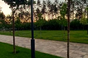 комерційна за адресою Прорізна вул., 1