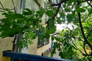 дом по адресу Одесса, 21-й км Старокиївської дороги ул.