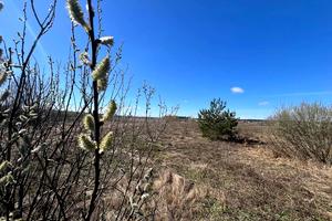 ділянка за адресою с. Михайлівка-Рубежівка, 
