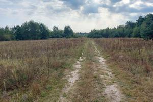 ділянка за адресою Лісова