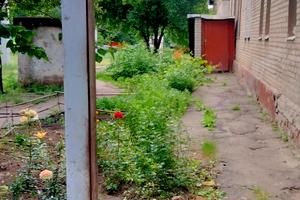 комната по адресу Багратиона ул. (Багратіона), 11/54