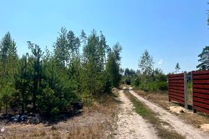 ділянка за адресою Шевченка