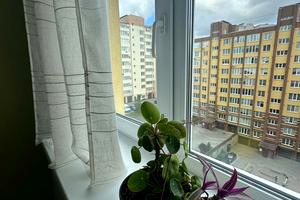 квартира за адресою Кармелюка вул., 11