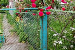 квартира по адресу Степана Бандеры ул., 38