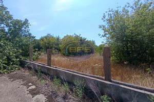 комерційна за адресою Овідіопольська дорога, 1