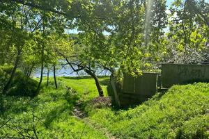 ділянка за адресою Весіння