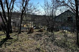 ділянка за адресою с. Дашківці, Коцюбинского, 22