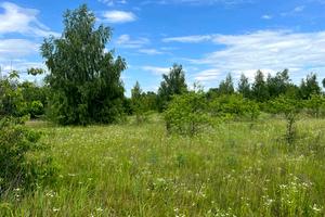 участок по адресу с. Михайловка-Рубежовка, 