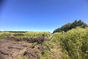 ділянка за адресою 3 провулок Східний