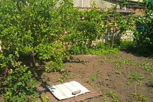 комната по адресу Тенинстая, 6