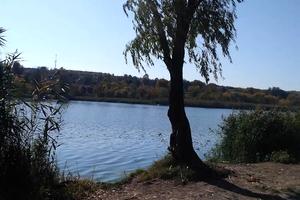 ділянка за адресою с. Братське, 