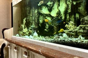 квартира за адресою Токмацька вул., 54