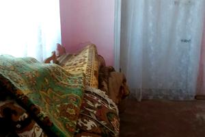 будинок за адресою Степная, 433