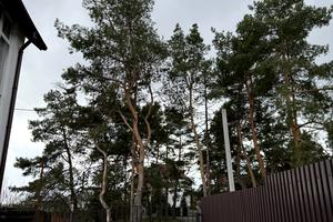 дом по адресу Кошевого Олега ул. (Олега Кошевого), 20-Д