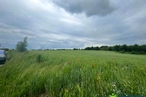 ділянка за адресою петлюри