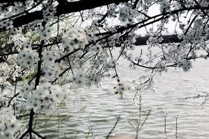 дом по адресу Дружби, 2