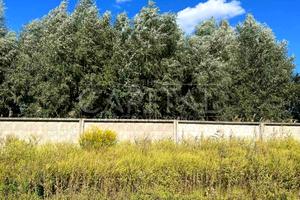 участок по адресу с. Ходосовка, 