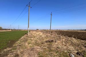 квартира по адресу Городоцкая ул., 28а