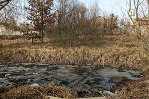 участок по адресу Костя Левицкого ул.