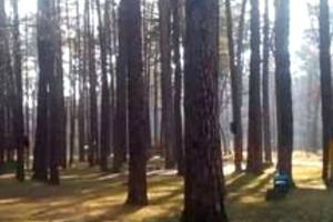 ділянка за адресою Чкалова