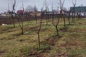дом по адресу с. Верховск, Шкільна