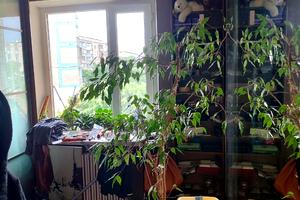 квартира за адресою Одеса, Ак.Вильямса, 52/1