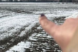 ділянка за адресою с. Майданівка, 