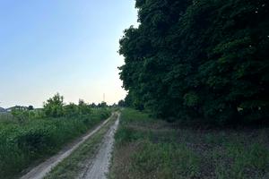 ділянка за адресою молодіжна