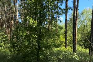 участок по адресу с. Новые безрадичи, Польова, 3