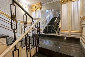 комерційна за адресою Євгена Чикаленка вул. (Пушкінська), 32В