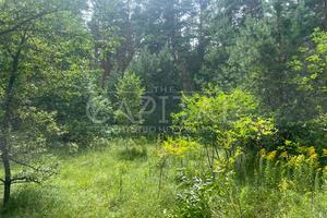 комерційна за адресою Приморська, 3