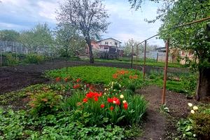 будинок за адресою Лісова вул., 2