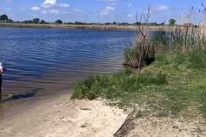 будинок за адресою Віноградна