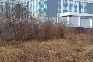 ділянка за адресою Музична вул., 10