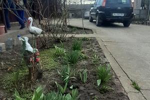 будинок за адресою Мічуріна