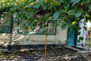 будинок за адресою с. Мале Ладижине, Мале Ладижине, 1