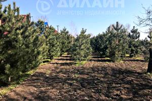 комерційна за адресою Чапаева, 47