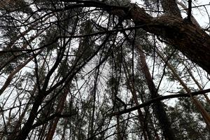 участок по адресу Землестроительная ул.