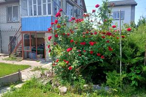 участок по адресу 4-та Озерна