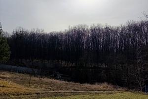 ділянка за адресою Тупік Синьоводського