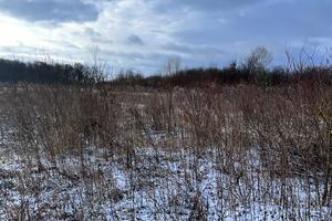 ділянка за адресою старе село