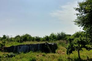 участок по адресу Грушевського, 1