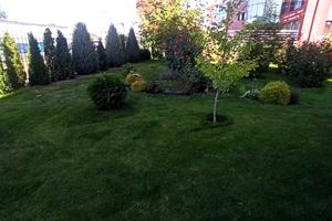 квартира за адресою Чехова вул., 53