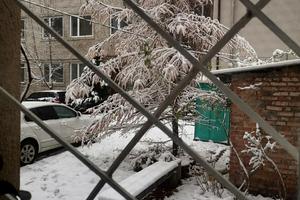 квартира за адресою Львів, Пекарська вул., 14